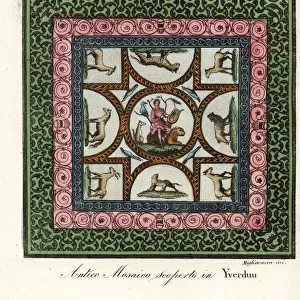 Antique Roman mosaic discovered in Yverdon-les-bains