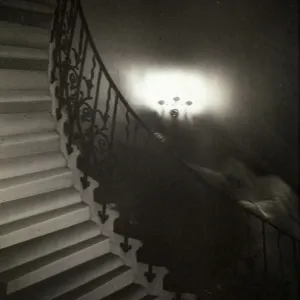 Apparition Print: Tulip Staircase Figure Apparition Print: Tulip Staircase Figure