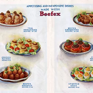Appetising and inexpensive dishes made with Beefex