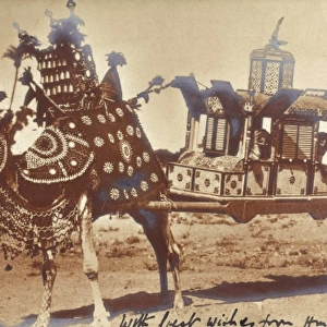 Arabian wedding carriage transporting the bride