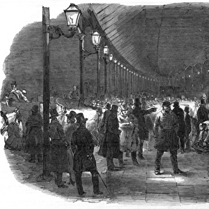 Arrival of cattle at the railway terminus, Euston Square