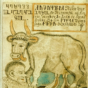 Audhumbla the cow