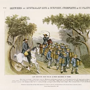 Australian Convicts