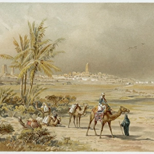 Barth / Timbuktu / Camel