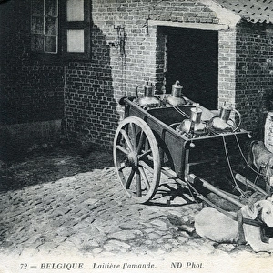 Belgium - Flemish Milkmaid - Dog-drawn milk cart