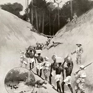 The Benin expedition