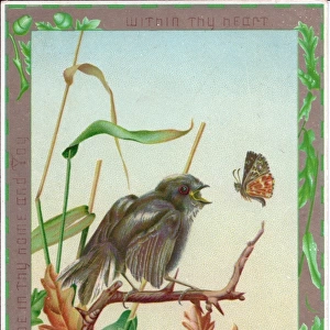Bird and butterfly on a greetings card
