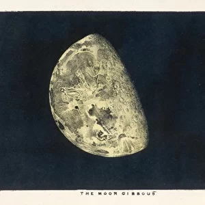 Blunt / Moon Gibbous 1849