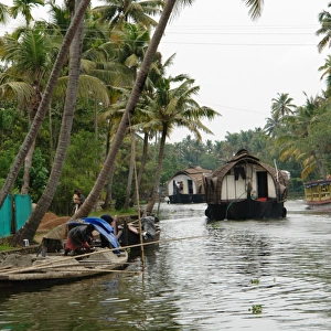Boats in the Alleppey backwaters, Kerala, India
