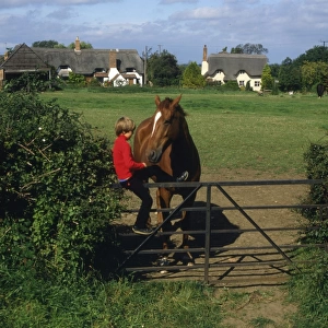 Boy and horse, Great Comberton, Worcestershire