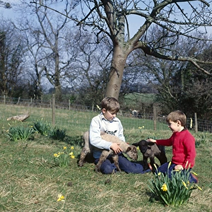 Two boys with spring lambs, Somerset