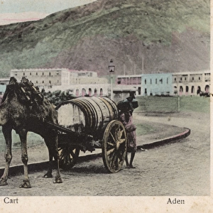 Camel-drawn water cart, Aden