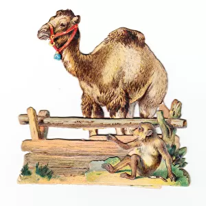 Camel and monkey on a cutout greetings card