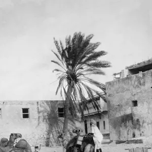 Camel transport in Kismayo, Somalia, East Africa