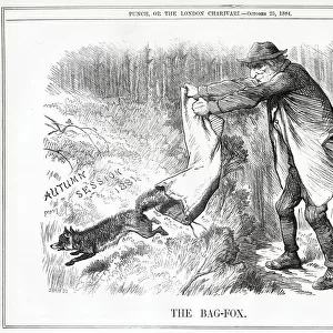 Cartoon, The Bag-Fox (Gladstone)