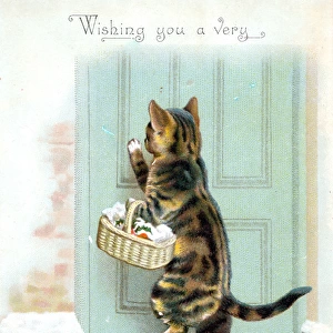 Cat with basket on a Christmas card