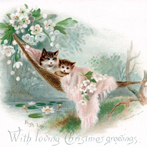 Cat and kitten in a hammock on a Christmas card