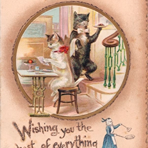 Cats on a greetings card