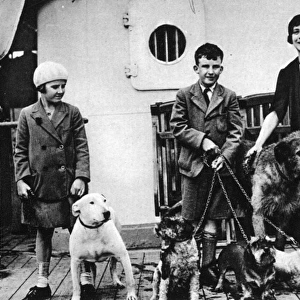 Cecil Aldins dogs go to join him in Majorca