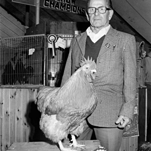 Champion hen at the Royal Cornwall Show