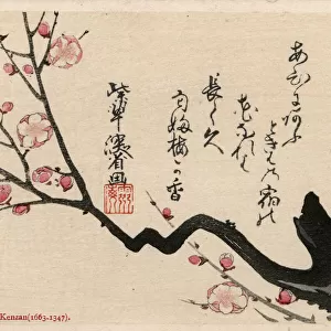 A Cherry Blossom Branch by Ogata Kenzan