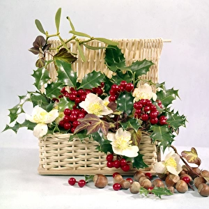 Christmas arrangement of flowers, holly, ivy and nuts
