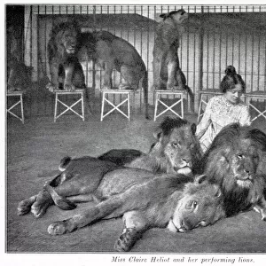 Claire Heliot and her performing lions 1903