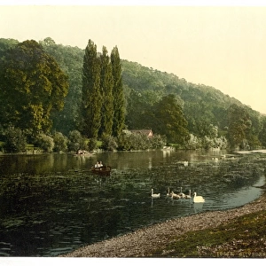 Cliveden Woods, from ferry, London and suburbs, England