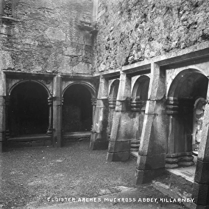 Cloister Arches, Muckross Abbey, Killarney