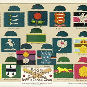 Cricket Canvas Print Collection: Clubs