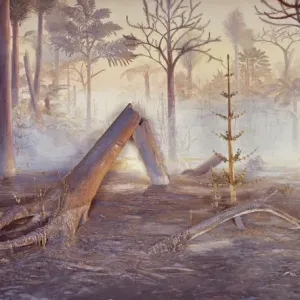 Carboniferous Coal Forest Diorama Print