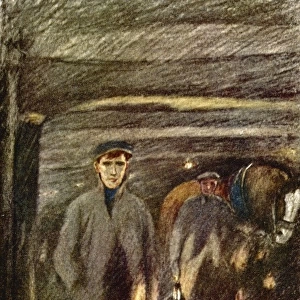 Coal / Pit Ponies / 1907