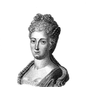 Comtesse De Lafayette