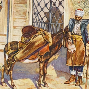 Constantinople - Water Carrier with donkey