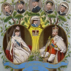 Coronation of George V - British Royal Family Tree of 1911
