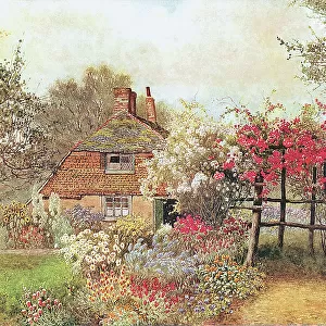 Cottage at Icklesham, Sussex
