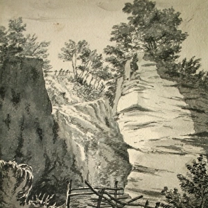 Country scene with trees and rocks