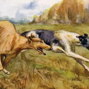 Watercolour Print of Greyhounds in Countryside circa 1922 Watercolour Print of Greyhounds in Countryside circa 1922
