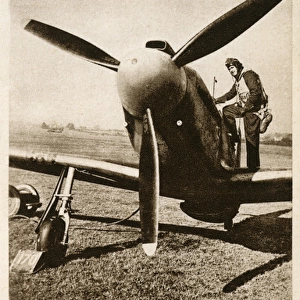 Curtiss P40 Warhawk Fighter Aircraft - WWII