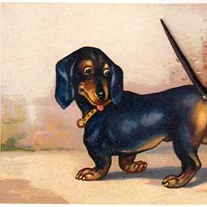 Dachshund with a movable tail on a novelty postcard