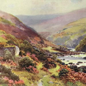 Dartmoor - Dartmeet