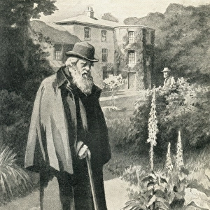 Darwin in his garden