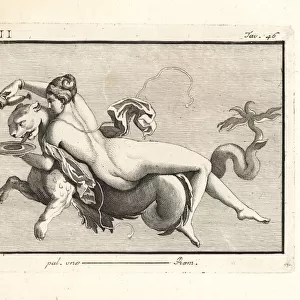 A daughter of Nereus mounted on a sea monster