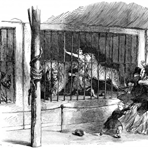 The Death of Ellen Bright at Wombwells Menagerie, 1850