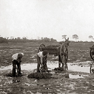 Digging pitch, La Brea, Trinidad, circa 1900