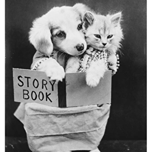Dog and Cat Reading