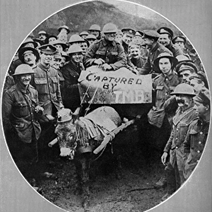Donkey wearing a pickelhaube, 1917