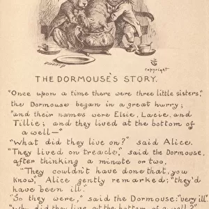 The dormouses story