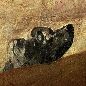 Francisco Goya Cushion Collection: Black paintings by Goya