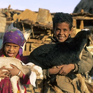 Egypt - Bedouin children cuddle goats